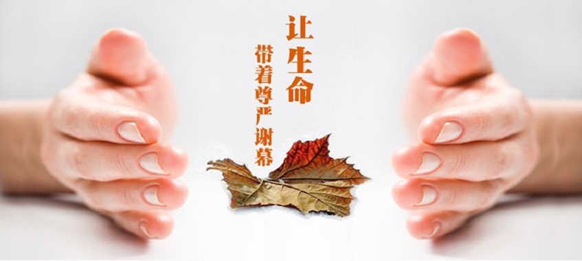 临终关怀